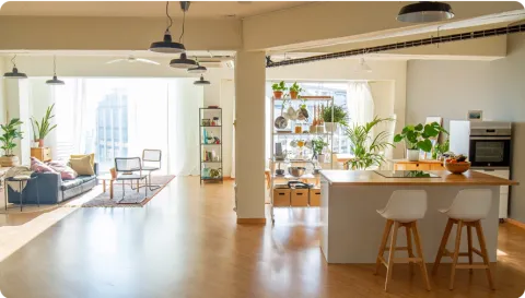 Beautiful tidy kitchen and living room